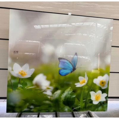 SKLO - ESG float Optiwhite 6 mm grafika 1740x1815mm