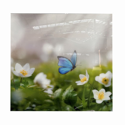 SKLO - ESG float Optiwhite 6 mm grafika 1740x1815mm